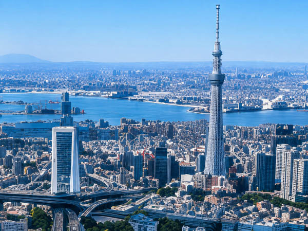 一都三県を中心に対応